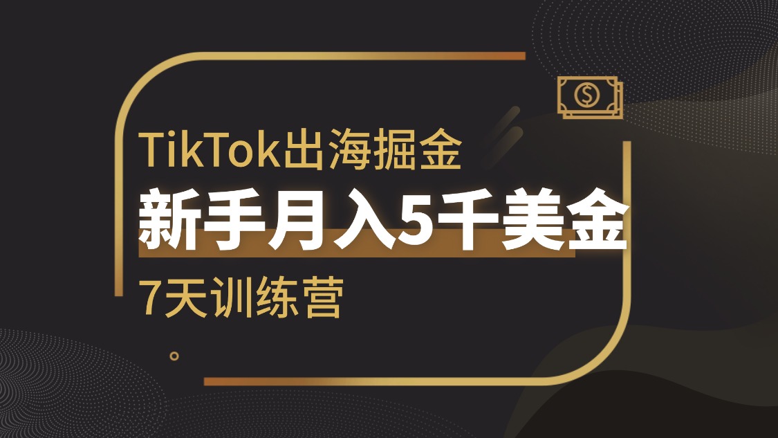 TIKTOK出海掘金，小白月入5千美金，7天训练营